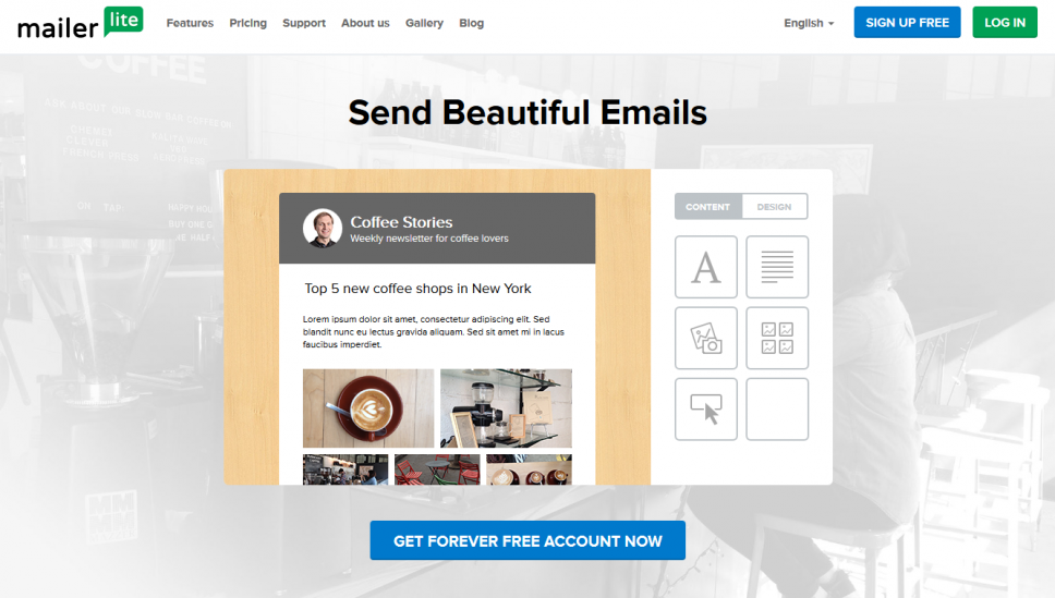 MailerLite Accurate Reviews