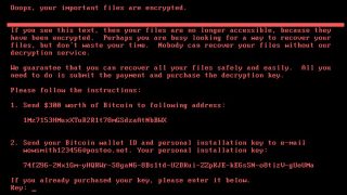 petyawrap ransomware