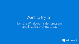 windows insider program